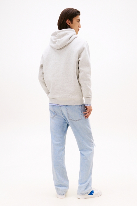 Tommy Jeans tjm reg linear logo hopodie ext